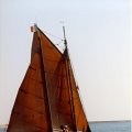Bizerte5