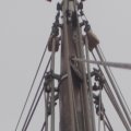 2017_01_09:10:16:19