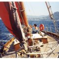 Large_Cassis-180900-1