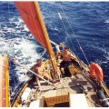 Large_Cassis-180900-2
