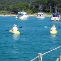 2008_06_22:17:00:08