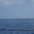 2011_05_30-08-07-57