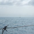 2011_05_30-11-07-54
