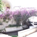 2011_06_15-13-47-32