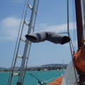 2011_06_29-12-53-32