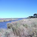 2011_08_27-17-49-40