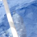 2012_05_26-09-18-44
