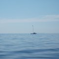 2012_06_01-10-02-01