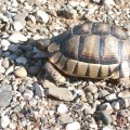2012_06_07-18-02-09