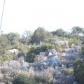 2012_07_08-08-25-02