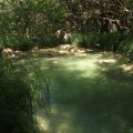 2012_07_31-15-17-19