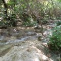 2012_07_31-15-17-39