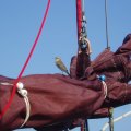 2012_09_10-08-24-13