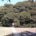 2015_07_15-12-05-03