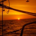 2016_06_21:20:28:32