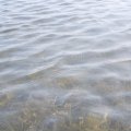 2016_07_06:08:16:03