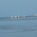 2016_07_06:09:02:10