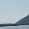2016_07_07:09:11:21