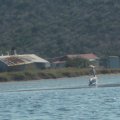 2016_07_08:08:52:31