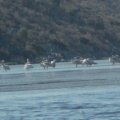 2016_07_08:08:55:12