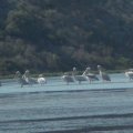 2016_07_08:08:56:34