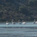 2016_07_08:08:57:43