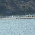 2016_07_08:09:02:35