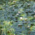 2005_07_16:10:02:29
